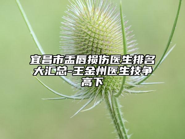 宜昌市盂唇損傷醫(yī)生排名大匯總-王金州醫(yī)生技爭(zhēng)高下