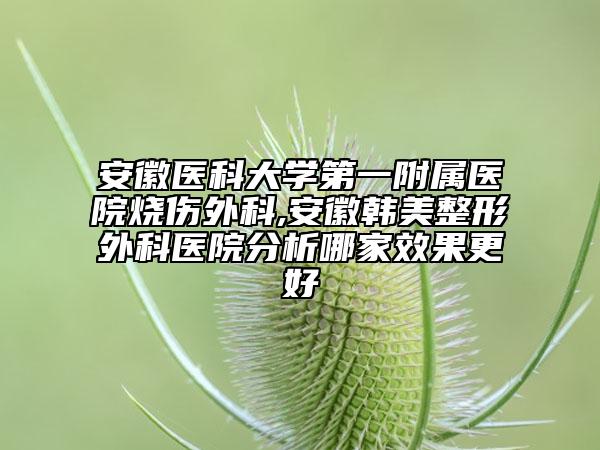安徽醫(yī)科大學第一附屬醫(yī)院燒傷外科,安徽韓美整形外科醫(yī)院分析哪家效果更好