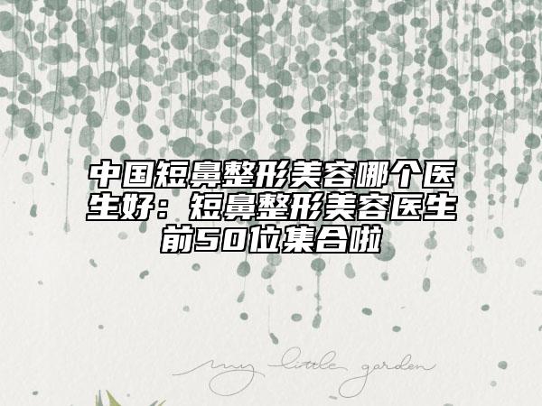 中國短鼻整形美容哪個醫(yī)生好：短鼻整形美容醫(yī)生前50位集合啦
