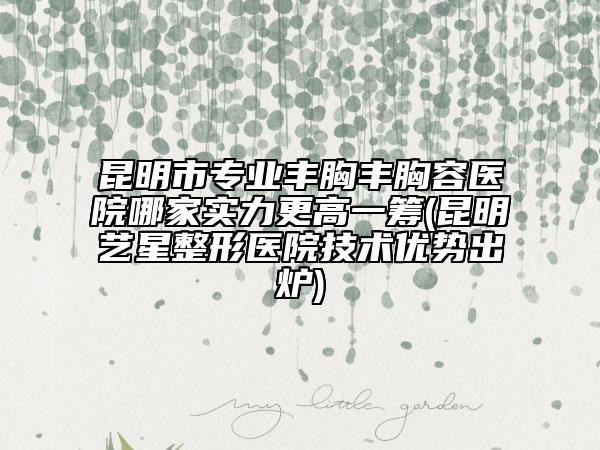 昆明市專業(yè)豐胸豐胸容醫(yī)院哪家實力更高一籌(昆明藝星整形醫(yī)院技術優(yōu)勢出爐)