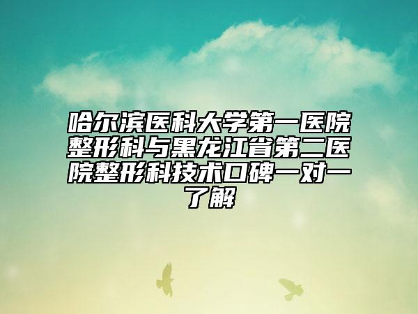 哈爾濱醫(yī)科大學第一醫(yī)院整形科與黑龍江省第二醫(yī)院整形科技術口碑一對一了解