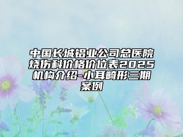 中國長城鋁業(yè)公司總醫(yī)院燒傷科價格價位表2025機構(gòu)介紹-小耳畸形三期案例