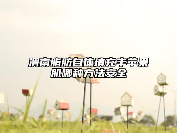 渭南脂肪自體填充豐蘋(píng)果肌哪種方法安全