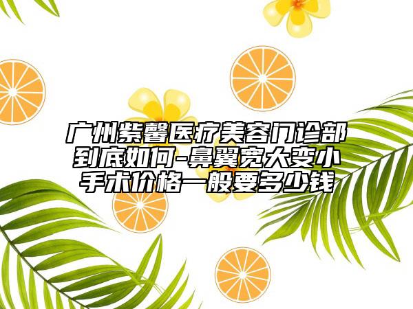 廣州紫馨醫(yī)療美容門診部到底如何-鼻翼寬大變小手術(shù)價(jià)格一般要多少錢