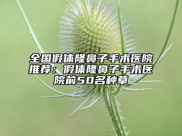 全國假體隆鼻子手術(shù)醫(yī)院推薦:假體隆鼻子手術(shù)醫(yī)院前50名種草