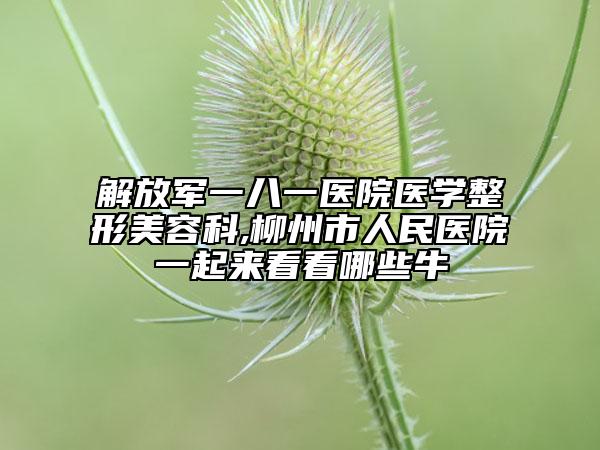 解放軍一八一醫(yī)院醫(yī)學(xué)整形美容科,柳州市人民醫(yī)院一起來看看哪些牛