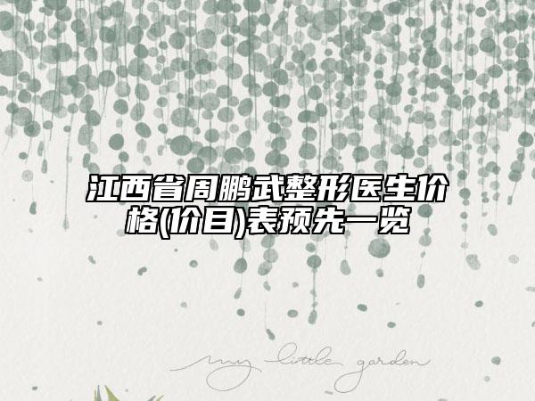 江西省周鵬武整形醫(yī)生價格(價目)表預先一覽