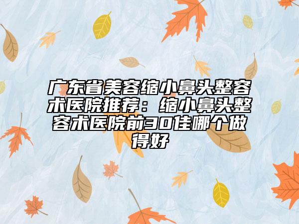 廣東省美容縮小鼻頭整容術醫(yī)院推薦：縮小鼻頭整容術醫(yī)院前30佳哪個做得好
