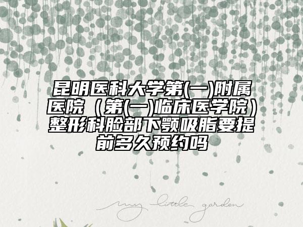 昆明醫(yī)科大學第(一)附屬醫(yī)院(第(一)臨床醫(yī)學院)整形科臉部下顎吸脂要提前多久預約嗎