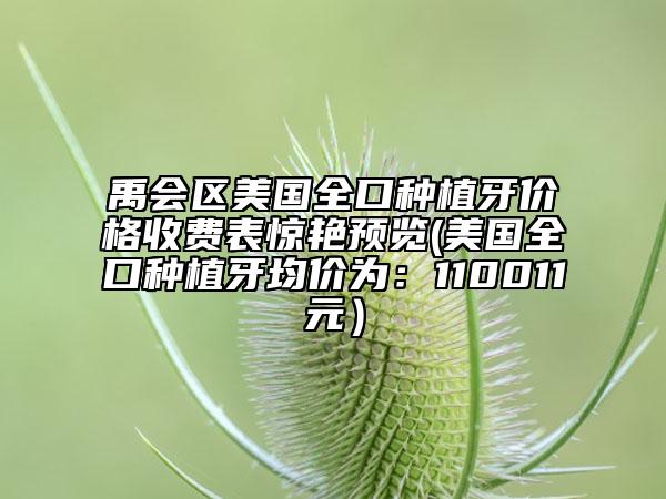 禹會(huì)區(qū)美國全口種植牙價(jià)格收費(fèi)表驚艷預(yù)覽(美國全口種植牙均價(jià)為：110011元）