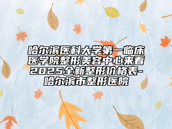 哈爾濱醫(yī)科大學(xué)第一臨床醫(yī)學(xué)院整形美容中心來(lái)看2025全新整形價(jià)格表-哈爾濱市整形醫(yī)院