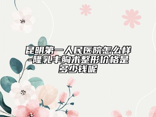 昆明第一人民醫(yī)院怎么樣-隆乳豐胸術(shù)整形價格是多少錢呢