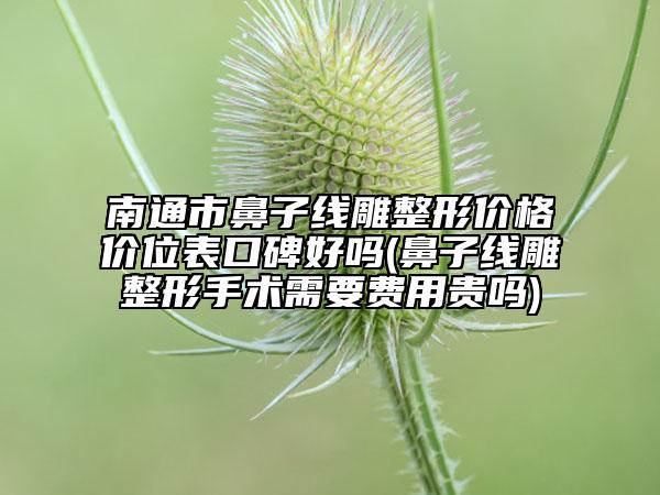 南通市鼻子線雕整形價(jià)格價(jià)位表口碑好嗎(鼻子線雕整形手術(shù)需要費(fèi)用貴嗎)