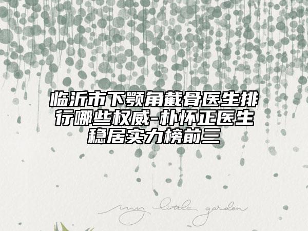 臨沂市下顎角截骨醫(yī)生排行哪些權威-樸懷正醫(yī)生穩(wěn)居實力榜前三