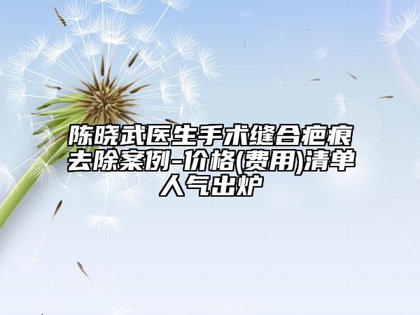 陳曉武醫(yī)生手術(shù)縫合疤痕去除案例-價格(費用)清單人氣出爐