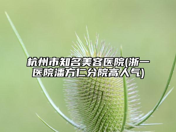杭州市知名美容醫(yī)院(浙一醫(yī)院潘方仁分院高人氣)