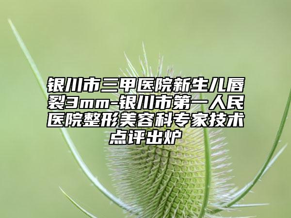 銀川市三甲醫(yī)院新生兒唇裂3mm-銀川市第一人民醫(yī)院整形美容科專家技術(shù)點(diǎn)評(píng)出爐