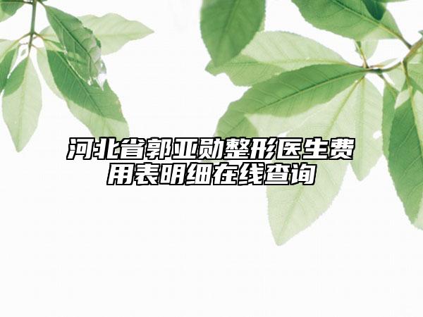 河北省郭亞勛整形醫(yī)生費(fèi)用表明細(xì)在線查詢