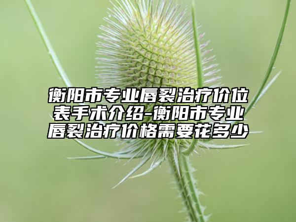 衡陽市專業(yè)唇裂治療價位表手術(shù)介紹-衡陽市專業(yè)唇裂治療價格需要花多少