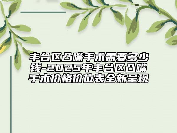 豐臺區(qū)凸嘴手術需要多少錢-2025年豐臺區(qū)凸嘴手術價格價位表全新呈現(xiàn)