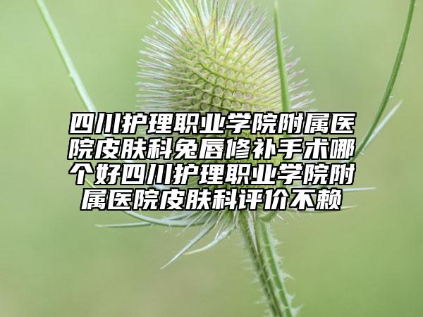 四川護(hù)理職業(yè)學(xué)院附屬醫(yī)院皮膚科兔唇修補(bǔ)手術(shù)哪個好四川護(hù)理職業(yè)學(xué)院附屬醫(yī)院皮膚科評價(jià)不賴