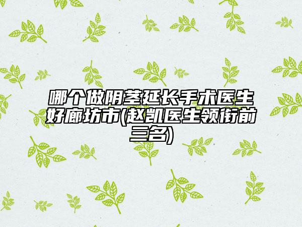 哪個(gè)做陰莖延長手術(shù)醫(yī)生好廊坊市(趙凱醫(yī)生領(lǐng)銜前三名)