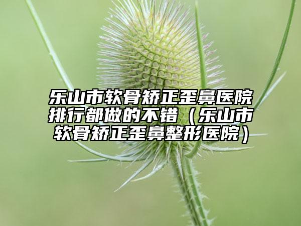 樂山市軟骨矯正歪鼻醫(yī)院排行都做的不錯(cuò)（樂山市軟骨矯正歪鼻整形醫(yī)院）