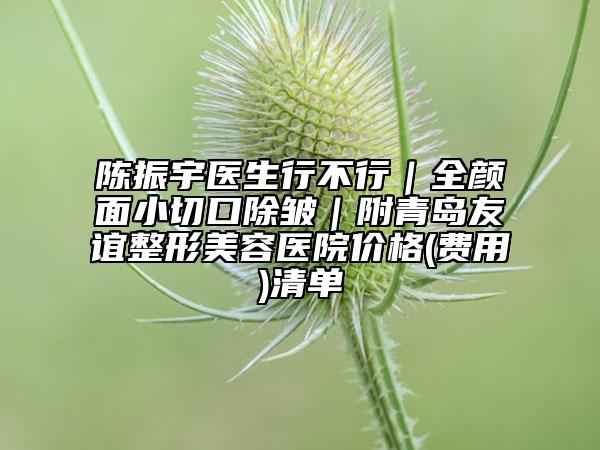 陳振宇醫(yī)生行不行|全顏面小切口除皺|附青島友誼整形美容醫(yī)院價格(費用)清單