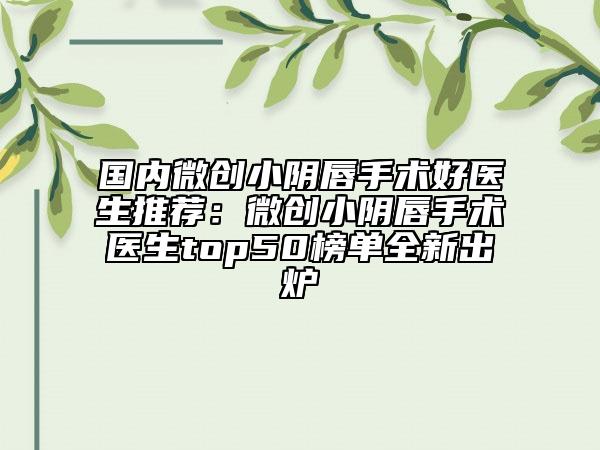 國(guó)內(nèi)微創(chuàng)小陰唇手術(shù)好醫(yī)生推薦:微創(chuàng)小陰唇手術(shù)醫(yī)生top50榜單全新出爐