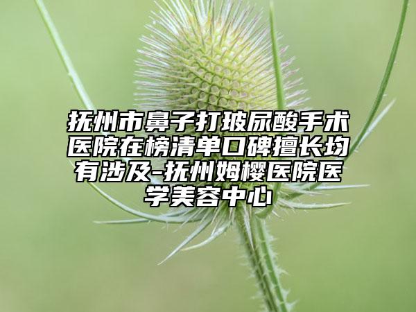 撫州市鼻子打玻尿酸手術醫(yī)院在榜清單口碑擅長均有涉及-撫州姆櫻醫(yī)院醫(yī)學美容中心