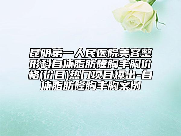昆明第一人民醫(yī)院美容整形科自體脂肪隆胸豐胸價格(價目)熱門項目爆出-自體脂肪隆胸豐胸案例